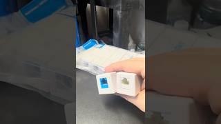Cat6 Surface Mount Box | 3D Printed | Custom #3dprinter  #tech
