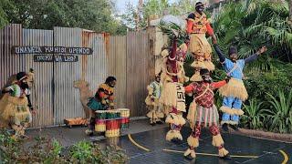 Lunch at Kusafiri in Disney's Animal Kingdom and a walk down Gorilla Falls Exploration Trail