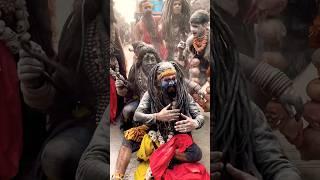 Shiv aghori bhakti bhajan aaradhana #mahadev #aghori #feedshorts #shorts #youtubeshorts #devotional