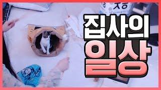 냥집사의 흔한 일상 / 내 집사는 호구다냥 l 도읍지 VOD