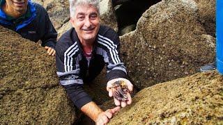 Harvesting Percebes on the Rocky Coastline of Galicia | The Recipe Hunters in Galicia, Spain