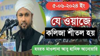 Maulana Abu hanif anwari Bangla waz 2024