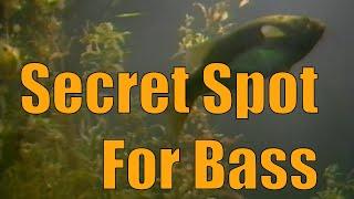 In-Fisherman Classics: Finding Summer Bass Secret Spots