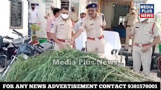 BREAKING: Two people arrested for cultivation of ganja in jagtial of telangana