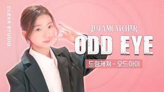 Dreamcatcher [드림캐쳐] - Odd Eye [오드아이] with Vitamin Siyoon [비타민 시윤]  K-POP DANCE COVER｜Clevr Studio