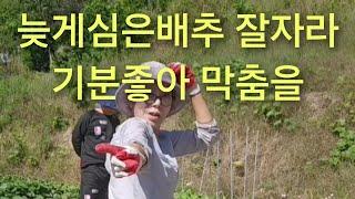 스님의 하루 충격