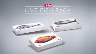 THE LIVE FISH PACK