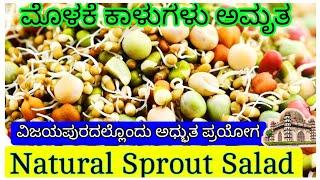 ಮೊಳಕೆ ಕಾಳು||ಸರ್ವ ಶ್ರೇಷ್ಠ ಅಹಾರ||Natural Sprout Salad ||VIJAYAPUR Karnataka||IGKannur||Good food