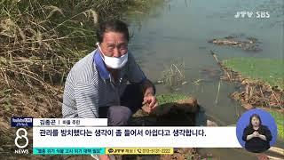 [JTV 8 뉴스] "멸종 위기 식물 고사 위기 대책 필요"