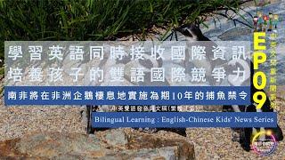 中英兒童新聞系列︱EP09 南非將在非洲企鵝棲息地實施為期10年的捕魚禁令