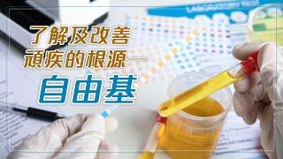 了解及改善頑疾的根源—自由基