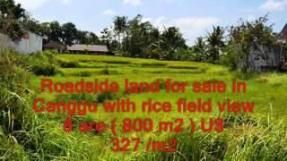 TJCG053   Roadside land for sale in Canggu with rice field view