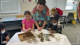 Emma Elementary 4th graders learn Ecology by making Bird Nests