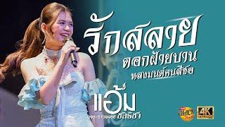 รักสลายดอกฝ้ายบาน X หลงมนต์คนสีซอ - แอ้ม ชลธิชา | iHACK Studio