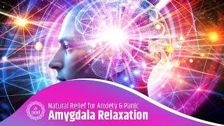 Amygdala Relaxation | Natural Relief for Anxiety & Panic with Healing Brainwave Frequencies