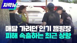 [자막뉴스] 매달 가려던 인기 캠핑장…피해 속출하는 최근 상황 / KBS 2023.05.18.