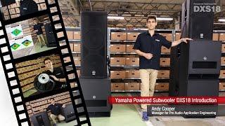 Yamaha Powered Subwoofer DXS18 Introduction