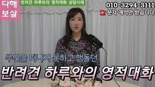 반려견 하루와의 영적대화