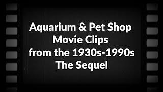 Aquarium & Pet Shop Movie Clips from the 1930s-1990s: The Sequel