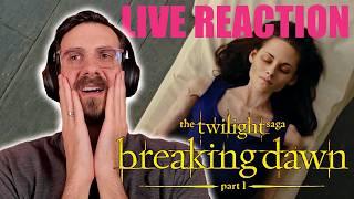 Weinen und lachen über meinen neuen Lieblingsfilm **BREAKING DAWN Teil 1**