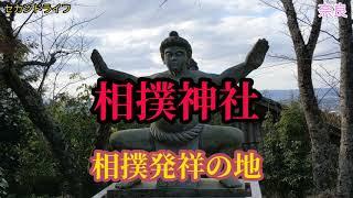 奈良に相撲神社があった。野見宿禰と當麻蹴速が垂仁天皇の御前で相撲を取った地。