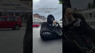 I hope these are convincing enough #funny #gorilla