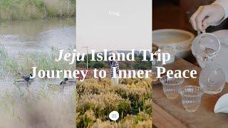 [ASMR Vlog] Jeju Island Travel Guide #2 | Walk around Jeju Boromwat, Cafe Hopping