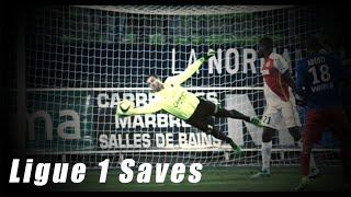 Ligue 1 Best Goalkeeper Saves 2016 HD