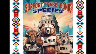 Rally to Save Wolves Bison and Grizzly Bears in Washington DC