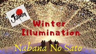 Japan Winter Illumination | Nabana No Sato