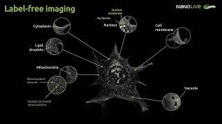 Label free Imaging