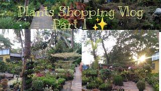 Plant's Shopping Vlog Part 1|Plants Nursery Visit|Sara's Garden 