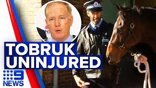 Police horse recovering well after protest attack | 9 News Australia