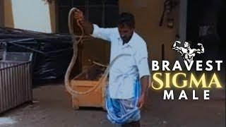 Indian Sigma Male Catches snake like a Pro (Sigma Rules)