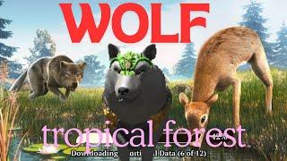 Video in challenge tropical forest | the wolf | super popo game saad