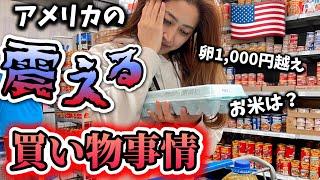 毎回3万越えの買い物に震えるアメリカ主婦️卵高すぎ！お米は？︎アメリカ生活｜バイリンガル育児｜3児ママ｜黒人ハーフ｜国際結婚｜海外の反応