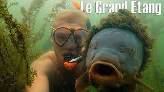 Underwater in the most difficult lake in France. (26 kg+ koi carp!)