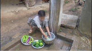 Organic village life || Cooking lamb and capsicum vegetables in the village