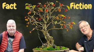 Bonsai Garden Secrets REVEALED (How I Grow Bonsai Trees)