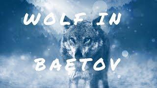 Баетов айылындагы карышкыр | Wolf in the Vilage Baetov|