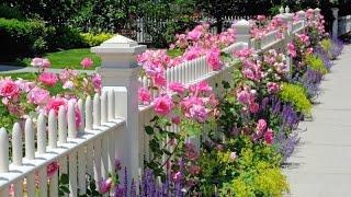 Garden Fence Ideas