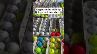 $1200 per Week Collecting Golf Balls (Best Summer Side Hustles)