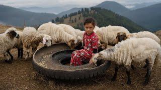 Wood-Fired Chicken and Sheep Wool Preparation in Talesh Majestic Mountains - IRAN