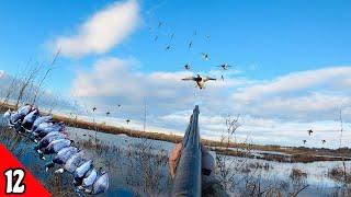 Afternoon Duck Hunt Decoying MALLARDS In Close (LIMITED OUT) | Duck Hunting 2025