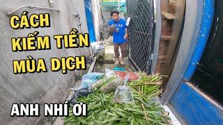 Cách KIẾM TIỀN MÙA DỊCH của ông chủ trại cá BETTA và cái kết ấm lòng