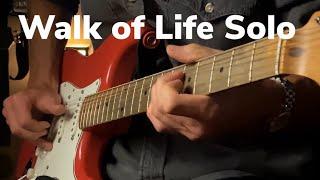 Walk of Life Solo Cover - Dire Straits