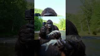 WHAT DID CAPYBARA GIVE ME… #bigfoot #bigfootvlogs #capybara #yeti #viral #fyp #gemini