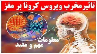 تاثیر مخرب ویروس کرونا بر مغز انسان