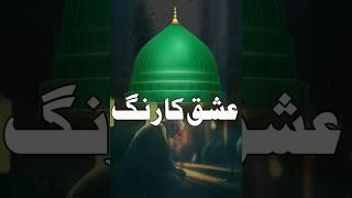 The color of love | Shaykh-ul-Islam Dr Muhammad Tahir-ul-Qadri