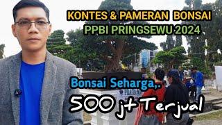 Kontes & Pameran Bonsai PPBI Pringsewu 2024@sewunews2070